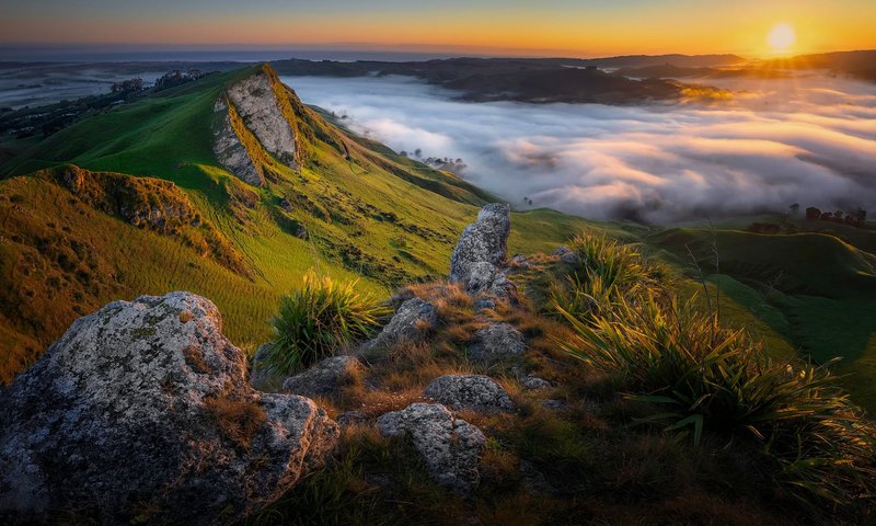 Step 1 – Pick A District With A Secret Life